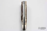 Rolox Viper Stag Sliding Lockback