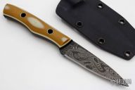 Paring/Hunting Knife with Damascus Blade