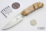 Scavenger - Wild Dog with Sheephorn