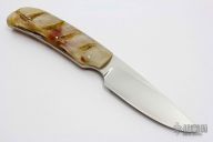 Scavenger - Wild Dog with Sheephorn