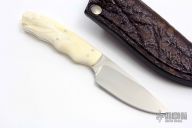 Squirrel with Warthog Tusk