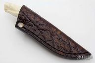 Squirrel with Warthog Tusk