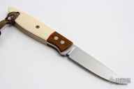 Bird & Trout / E.D.C.