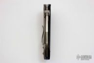 Whaleshark - One Off