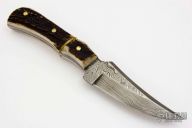 Damascus and Stag Fixed