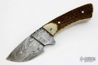 Damascus and Stag Fixed
