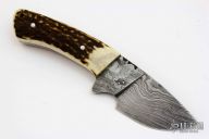 Damascus and Stag Fixed