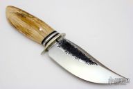 Artifact Walrus Ivory Skinner