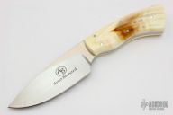 Bush Baby - Gecko - Warthog Tusk