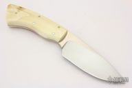 Bush Baby - Gecko - Warthog Tusk