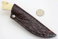 Bush Baby - Gecko - Warthog Tusk