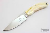 Featured Series - 2015 - Warthog Tusk