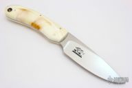 Featured Series - 2015 - Warthog Tusk