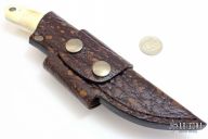 Featured Series - 2015 - Warthog Tusk