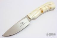 Grazer - Nyala - Warthog Tusk