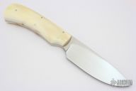 Grazer - Nyala - Warthog Tusk