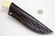 Grazer - Nyala - Warthog Tusk