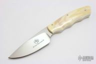 Bush Baby - Squirrel - Warthog Tusk