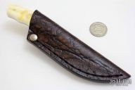 Bush Baby - Squirrel - Warthog Tusk