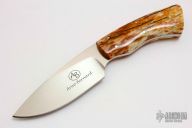 Bush Baby - Gecko - Giraffe Bone