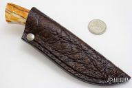 Bush Baby - Gecko - Giraffe Bone