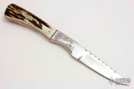 Engraved Bird and Trout