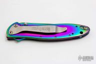 1660VIB Rainbow Leek