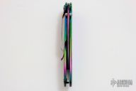 1660VIB Rainbow Leek