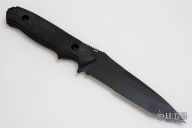 141 Nimravus Tanto