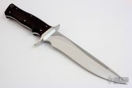 Model 2-7 - Mirror Polished w/ Cocobolo