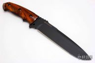 EX-F01 - Elishewitz Design