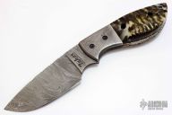 Damascus & Sheep Horn Hunter