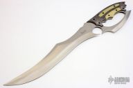 Recurve D-Guard Fighter