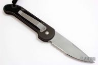 L-UDT 1/98 - Stingray Inlays