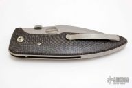 Bob Terzuola and Tashi Bharucha Collab