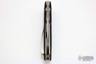 Bob Terzuola and Tashi Bharucha Collab