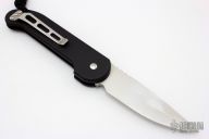 LUDT - High Polish Chisel Ground - Stingray Inlay