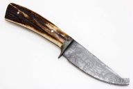 Elk Handled Damascus Hunter