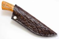 Bush Baby - Gecko - Giraffe Bone