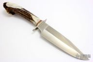 Stag Bowie - 145th Anniversary