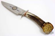 Stag Bowie - 145th Anniversary