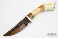 Skinner - Warthog Tusk