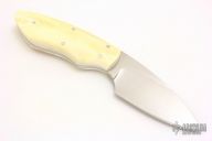 Bush Baby - Meerkat - Warhog Ivory