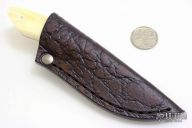 Bush Baby - Meerkat - Warhog Ivory