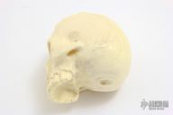 Antique Ivory Cue Ball Carved Skull