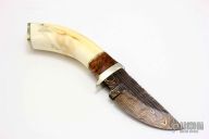 Skinner - Warthog Tusk