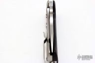 C181GTIP Lil' Lion Spy