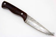 Damascus Fixed Blade
