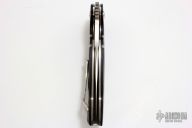 Wayfarer W446 with Moonglow Stripes