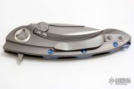 Whaleshark HG Satin - Titanium w/ Blue Screws #14